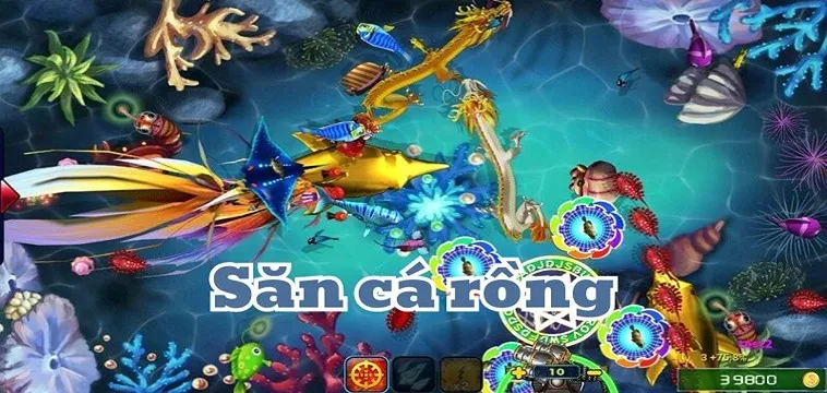 Kinh Nghiệm Chơi Bắn Cá Rồng D79Bet Hạ Gục Boss Khủng Nhận Quà To