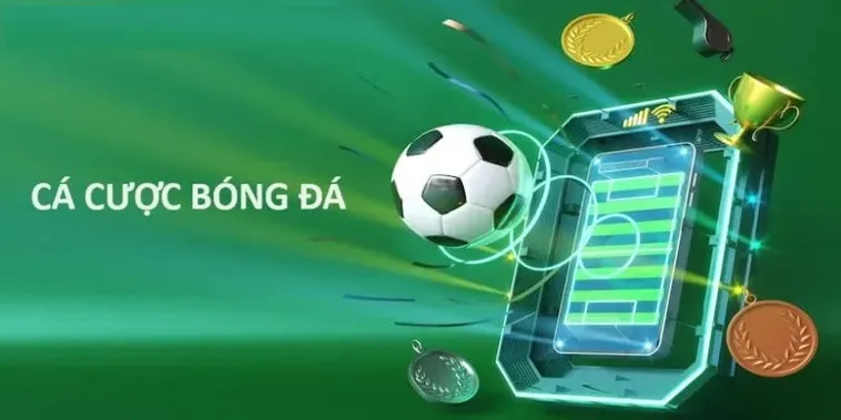 Bí Kíp Cá Cược Bóng Đá D79Bet Thắng Lớn Mỗi Ngày Cho Tân Thủ