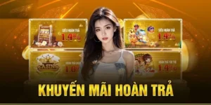 Hoàn Trả Không Giới Hạn Tại Nhà Cái D79Bet Bảo Hiểm Vốn Cược Siêu Hời