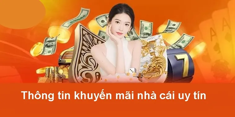 Tổng Hợp Khuyến Mãi D79Bet Siêu Khủng Dành Cho Mọi Thành Viên Nhà Cái