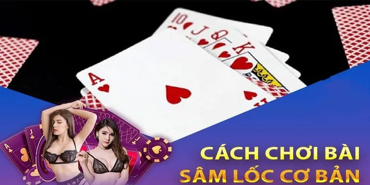 Tuyệt Chiêu Đánh Sâm Lốc D79Bet Báo Sâm Thành Công Nhận Thưởng Khủng