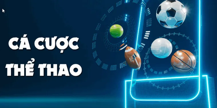 Trải Nghiệm Cá Cược Thể Thao D79Bet Đỉnh Cao Săn Thưởng Tiền Tỷ Ngay