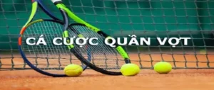 Tuyệt Chiêu Cá Cược Quần Vợt D79Bet Đánh Bại Nhà Cái Dễ Dàng Nhất
